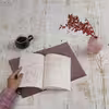 کتاب آیرونی اثر داگلاس کالین موکه نشر مرکز