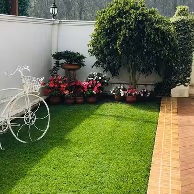 چمن مصنوعی مدل 25 سایز 2x5 متر