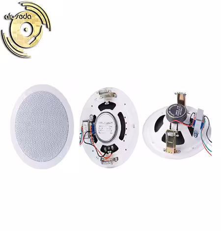 بلندگو سقفی دایناپرو DYNAPRO HSR163-6t