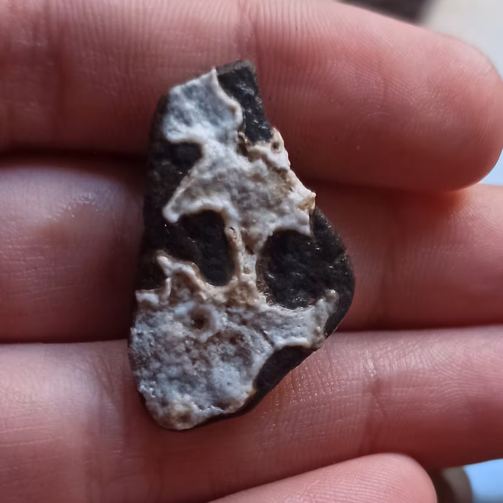 سنگ مصور ساز زیبا