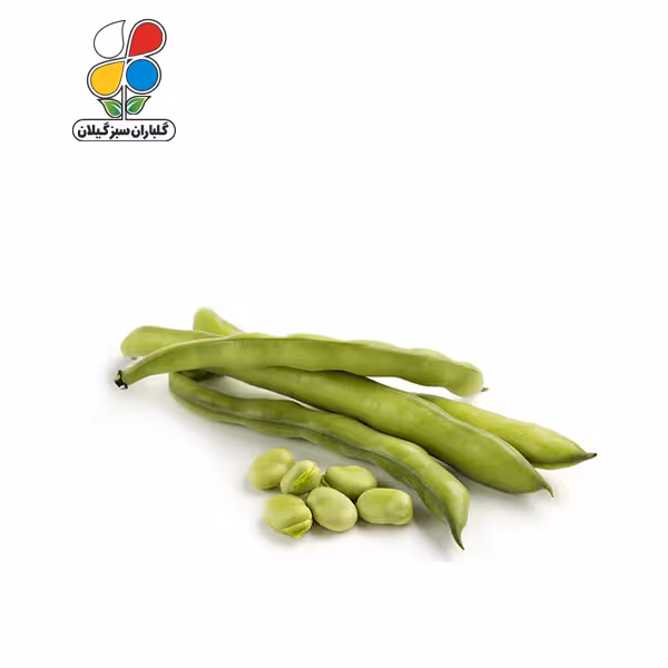 بذر باقلا بسته بندی کوچک