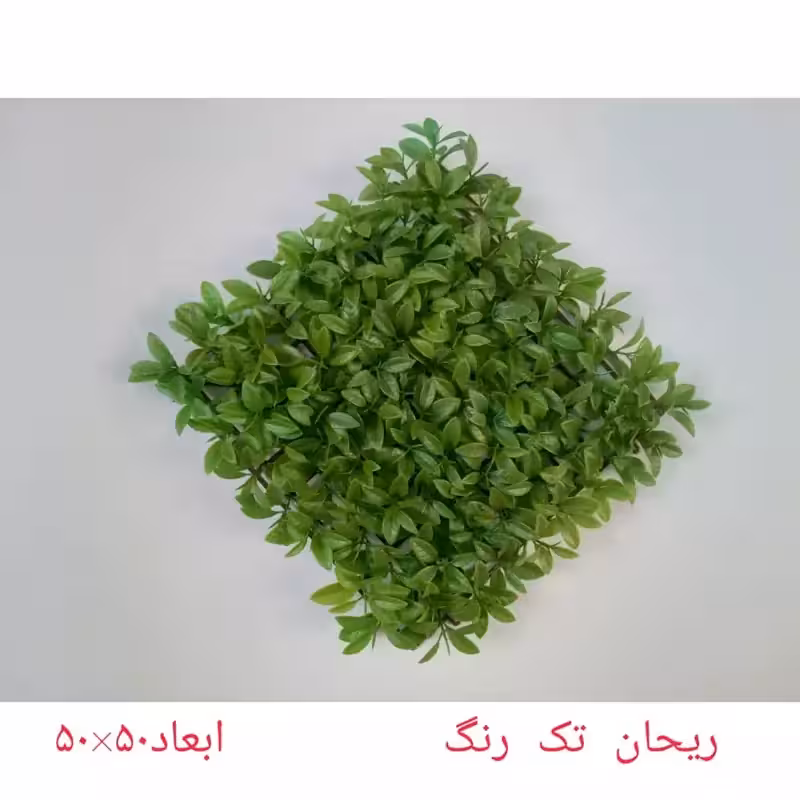 گرین وال (دیوار سبز) ریحان تک رنگ 50در50 cm (پس کرایه)
