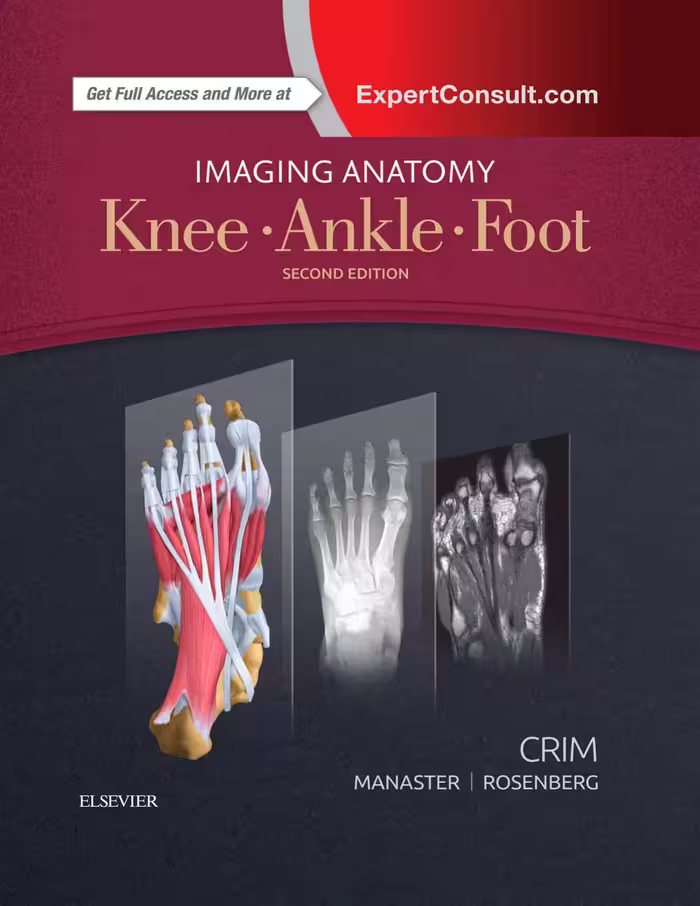 خرید و دانلود نسخه کامل کتاب Knee, ankle, foot.