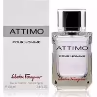 عطر مردانه سالواتور فراگامو آتیمو پور هوم Salvatore Ferragamo Attimo Pour Homme Eau De Toilette For Men