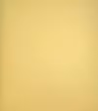 بک دراپ چوبی تکرنگ کد 232 (در 3 سایز)