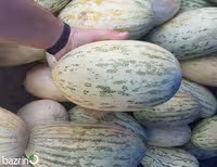 بذر خربزه درگزی (افغانی)