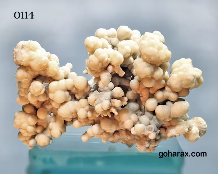 سنگ زینتی آراگونیت مرجانی