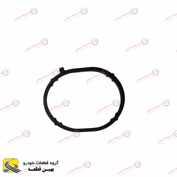 واشر منیفولد هوا آریو