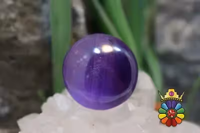 امتیست دامله(کاپوشی)