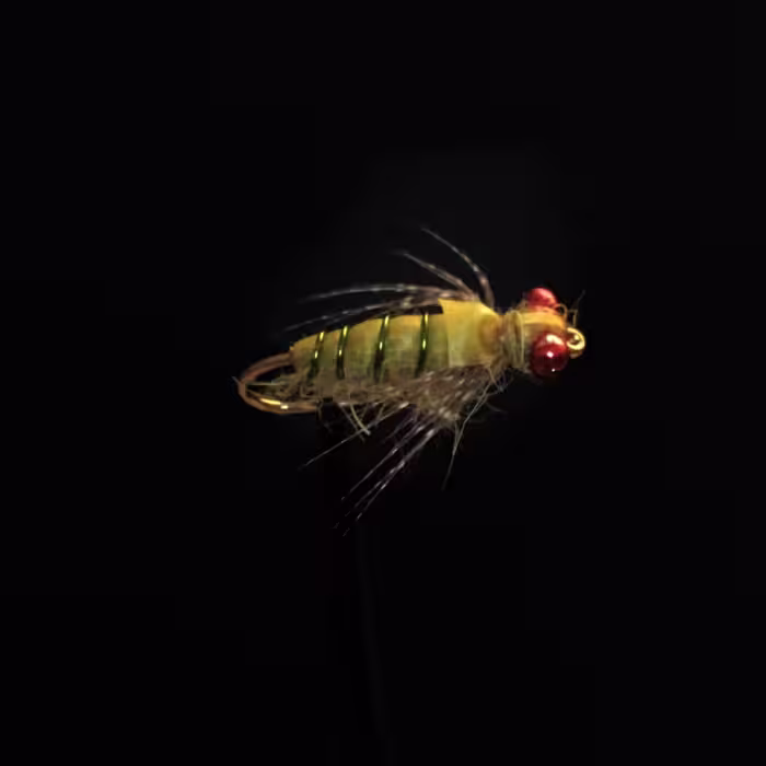 پشه ماهیگیری فلای نيمف دمسل دراگُن Damsel Dragon Nymph (بسته 5 عددی)