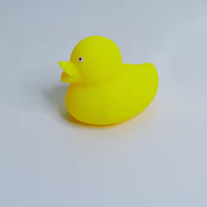 فیجت اردک زشت دونه اناری