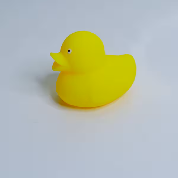 فیجت اردک زشت دونه اناری