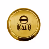 رزت ضد سرقت فولادی طلایی | یراقینو فروش یراق آلات کابینت و درب