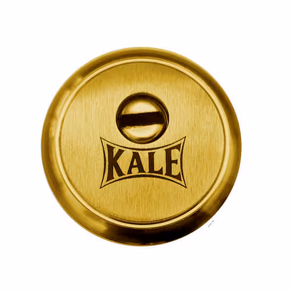 رزت ضد سرقت فولادی طلایی | یراقینو فروش یراق آلات کابینت و درب