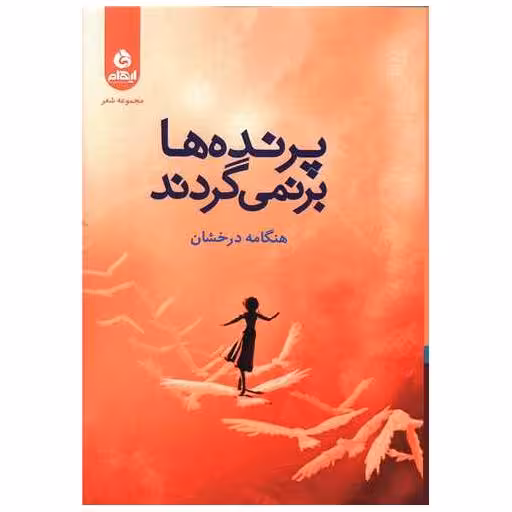 کتاب پرنده ها بر نمی گردند اثر هنگامه درخشان