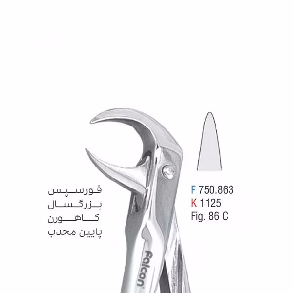 فورسپس بزرگسال کاهورن پایین محدب