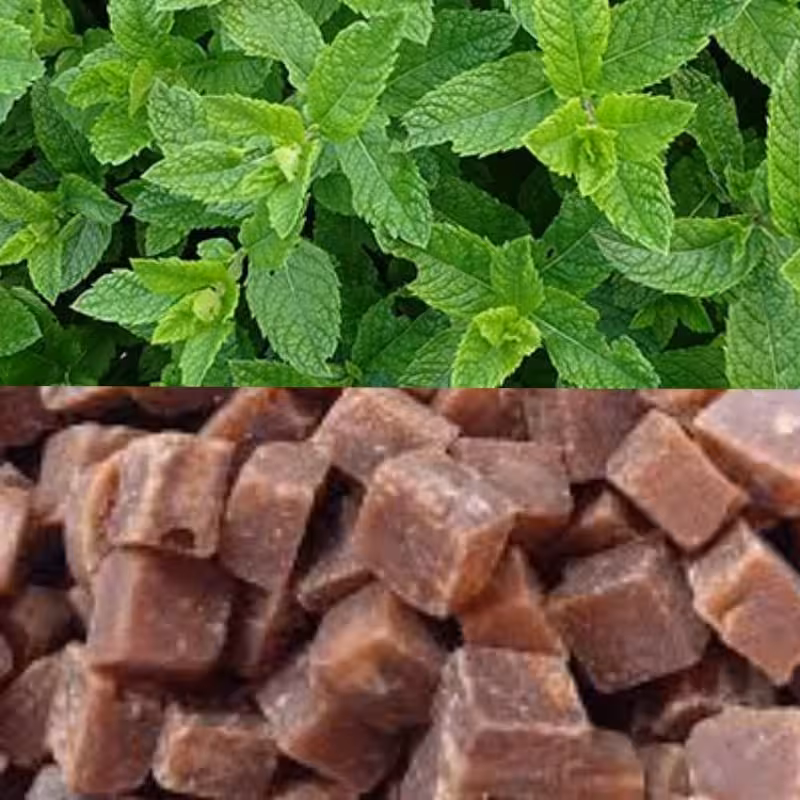 قند قهوه ای نعنایی قند نیشکر با طعم نعنا سالم و طبیعی نیم کیلویی | amazonchi