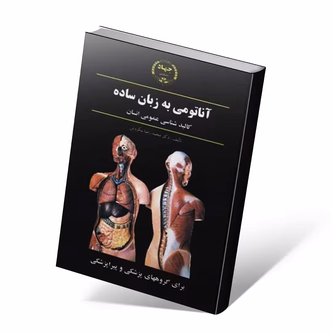 آناتومی به زبان ساده