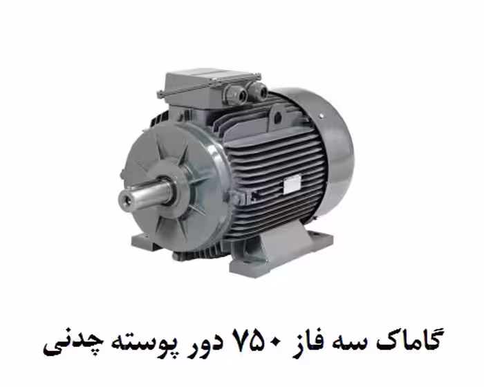 الکتروموتور گاماک 45KW سه فاز 750 دور