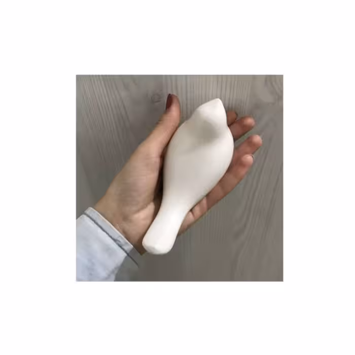  مجسمه سرامیکی مدل پرنده طرح داماد کد A52