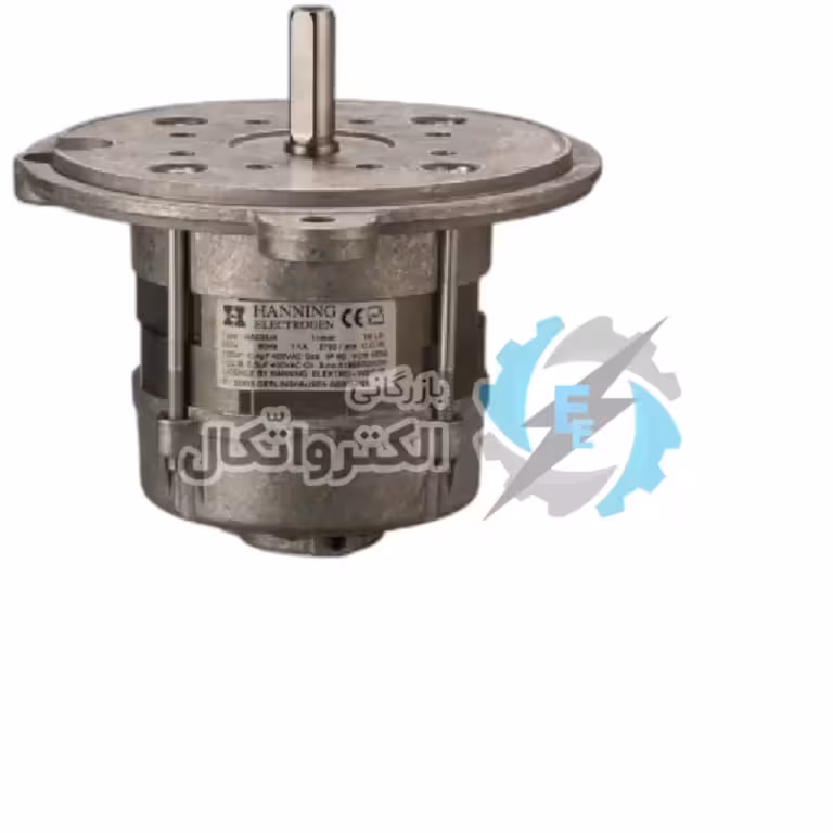 الکترو موتور مشعلی 50 وات سری HA630 تکفاز الکتروژن
