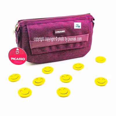 جامدادی کیفی جیبدار  L1  پیکاسو PICASSO