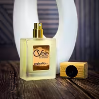عطر مردانه اینویکتوس پاکورابان نسخه اختصاصی سیوله |  اسپیشیال گرید