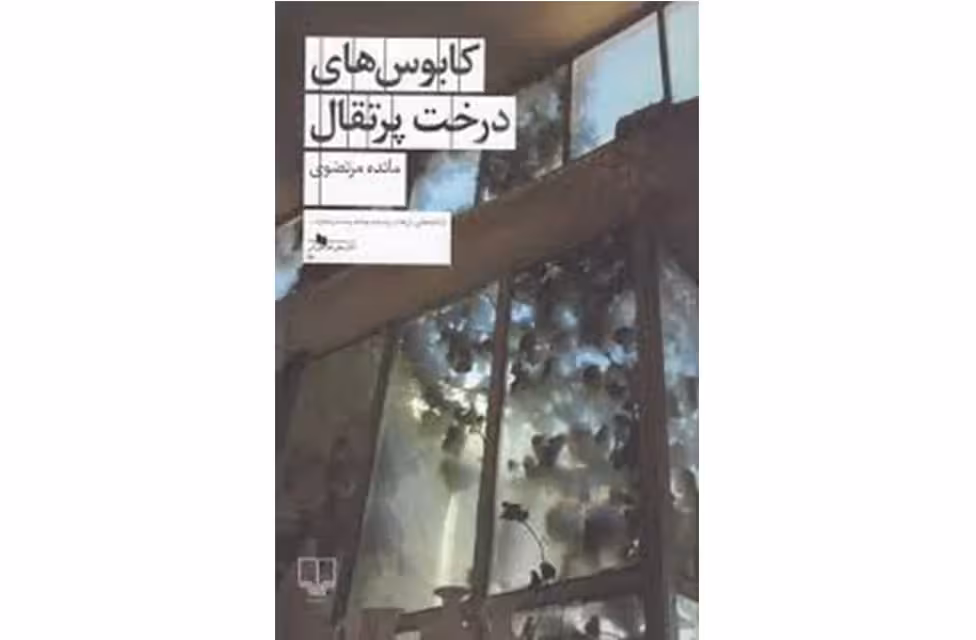 کابوس های درخت پرتقال -مائده مرتضوی – چشمه