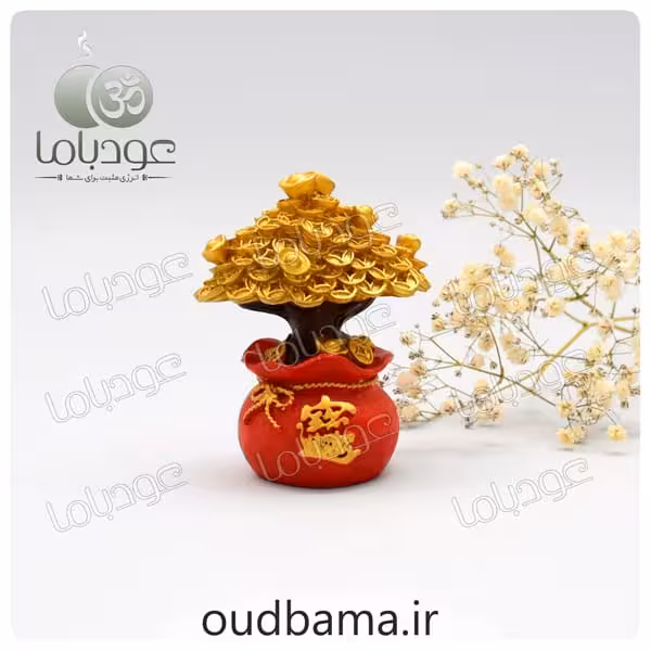 کیسه ثروت درخت ثروت فنگشویی