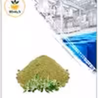 عصاره آویشن شیرازی خشک یا پودری