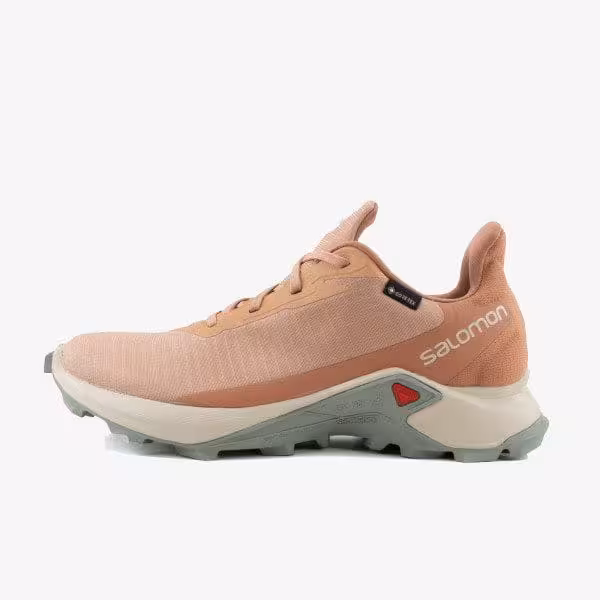 کفش طبیعت گردی زنانه سالومون مدل ALPHA CROSS 3 GTX