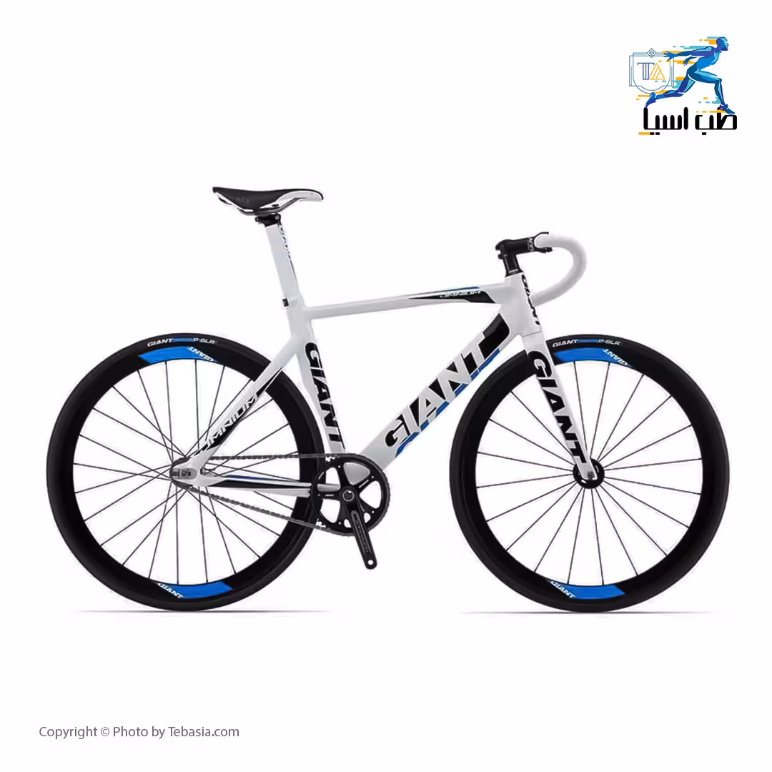 دوچرخه کورسی پیست جاینت مدل OMINIUM سایز 28 اینچ