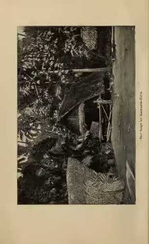 خرید و دانلود نسخه کامل کتاب Neu-Guinea