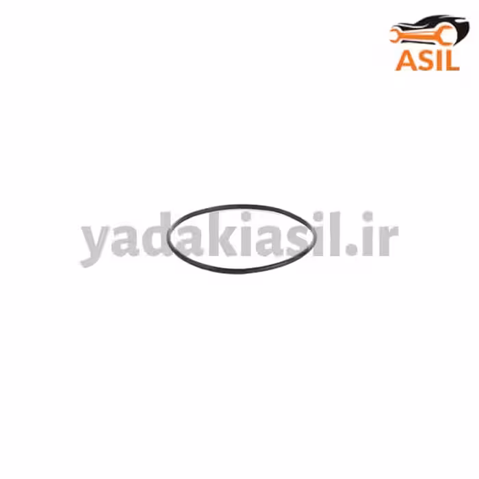 اورینگ باک پژو صفر درجه عظام