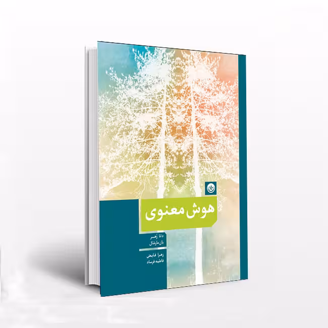 هوش معنوی