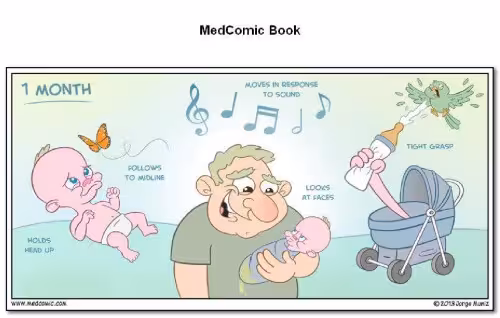 خرید و دانلود نسخه کامل کتاب Medcomic The Most Entertaining Way to Study Medicine