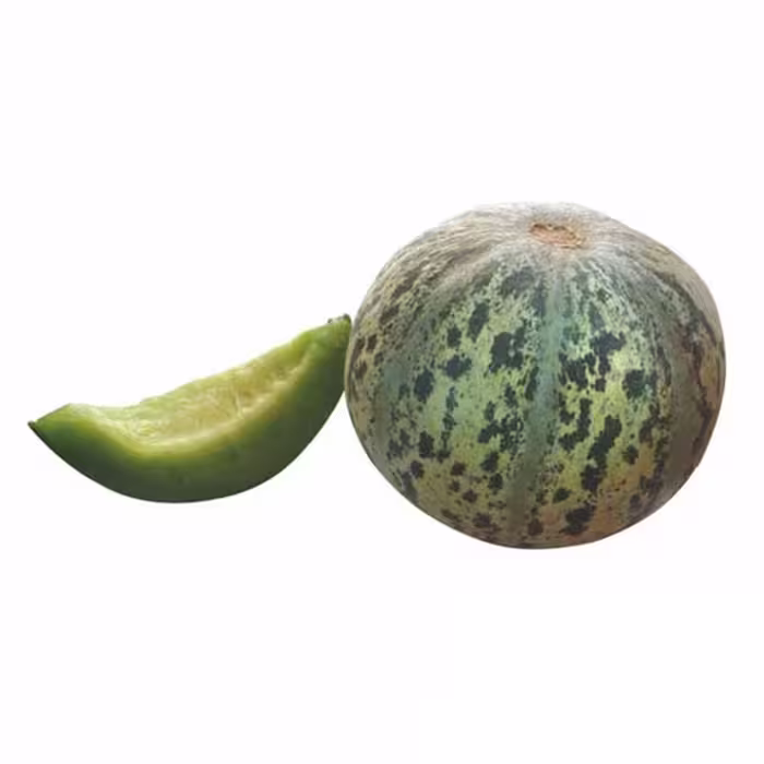 بذر خربزه تیل مگسی
