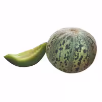 بذر خربزه تیل مگسی