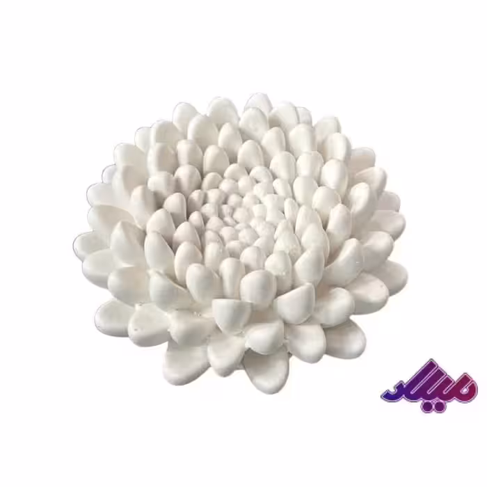 بیس خام گل داوودی قطر 7.5 سانت