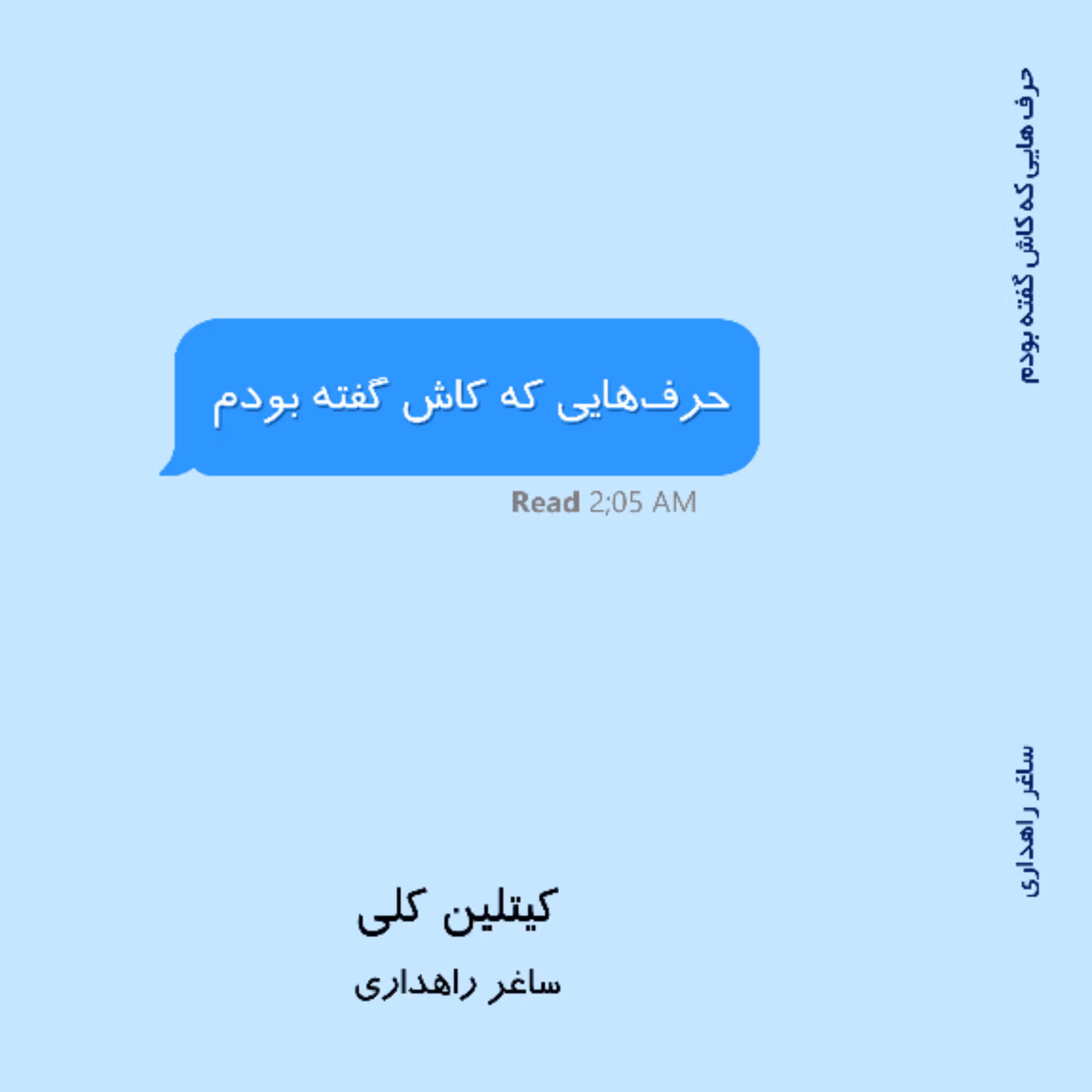 کتاب the words I wish I said حرف هایی که کاش گفته بودم اثر Caitlin Kelly