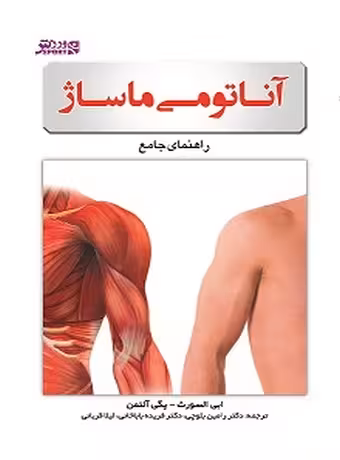 آناتومی ماساژ