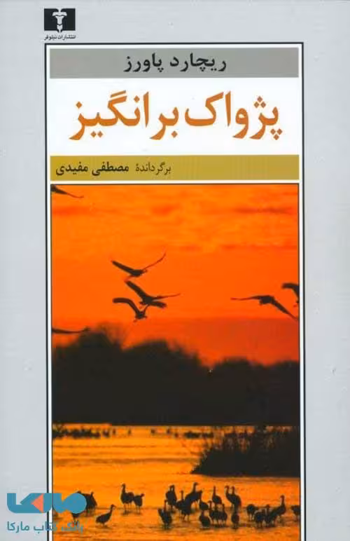 پژواک برانگیز نشر نیلوفر