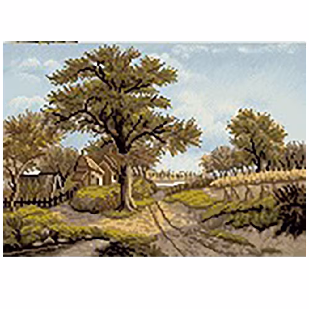 طرح آموزشی مسیر جنگلی کد 21026