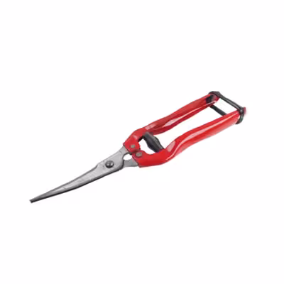 قیچی میوه چین