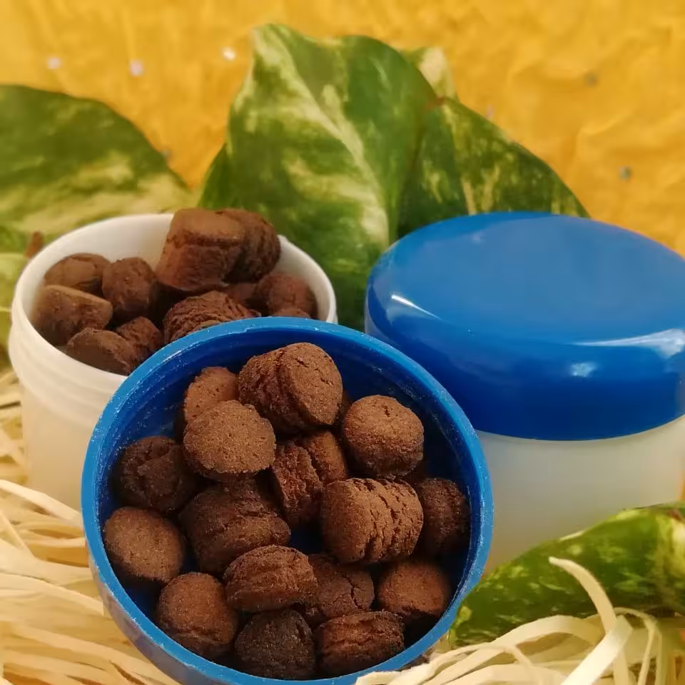 ترکیب  گیاهی قهوه انرژی زا 
