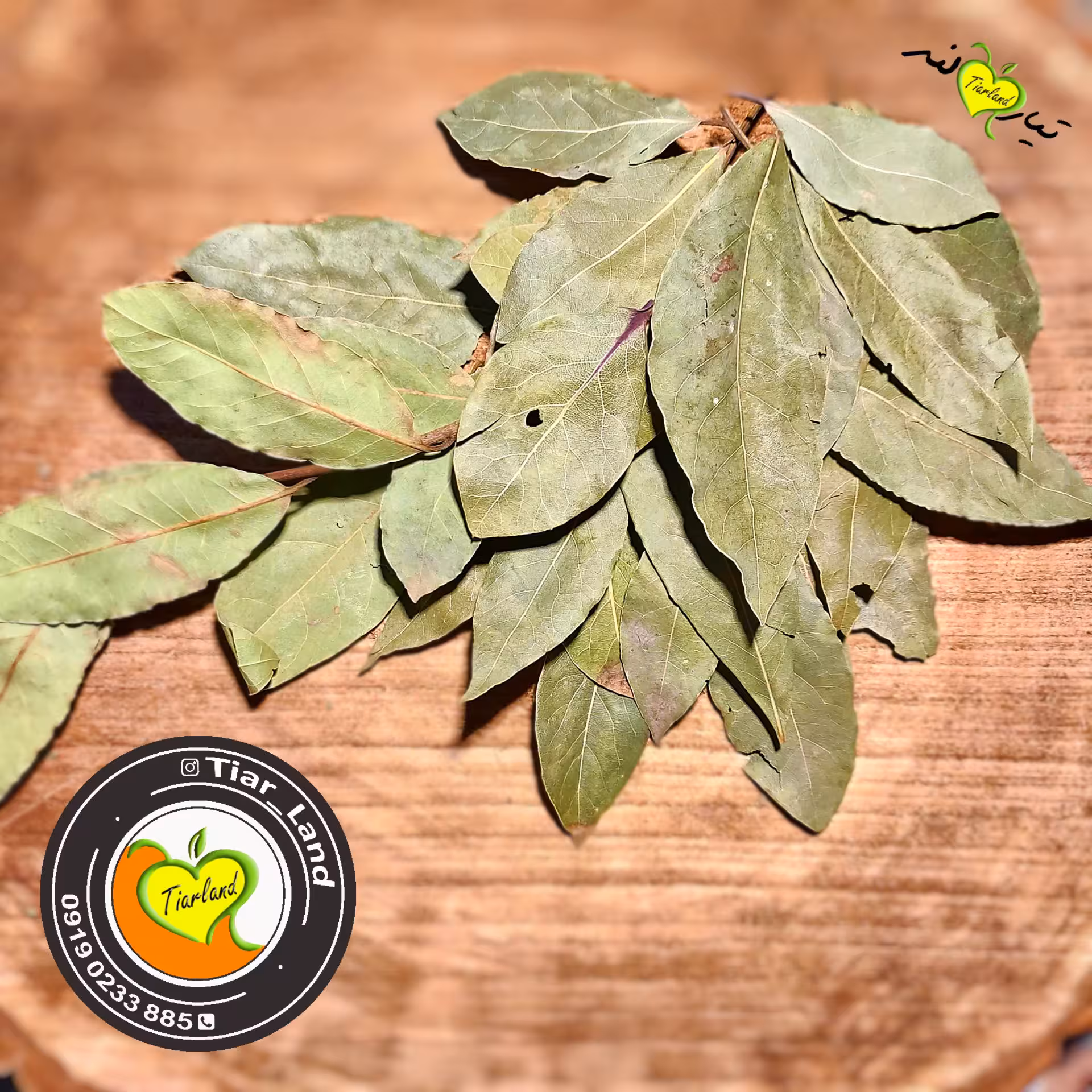 برگ بو  پاک شده فروشگاه تیارمزه، بدون چوب ، فاقد کپک زدگی