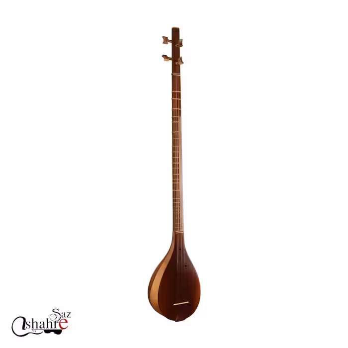 سه تار نظری دو مهر