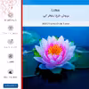 برچسب پوششی ماهوت مدل Lotus-FullSkin مناسب برای گوشی موبایل هوآوی Nova 5T