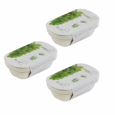 ظرف یکبار مصرف آملون مدل 1p مجموعه 36 عددی