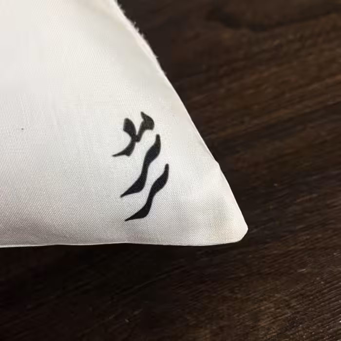 بالش کودک مدبرتر مدل باب اسفنجی و دوستان طرح اسم غزل